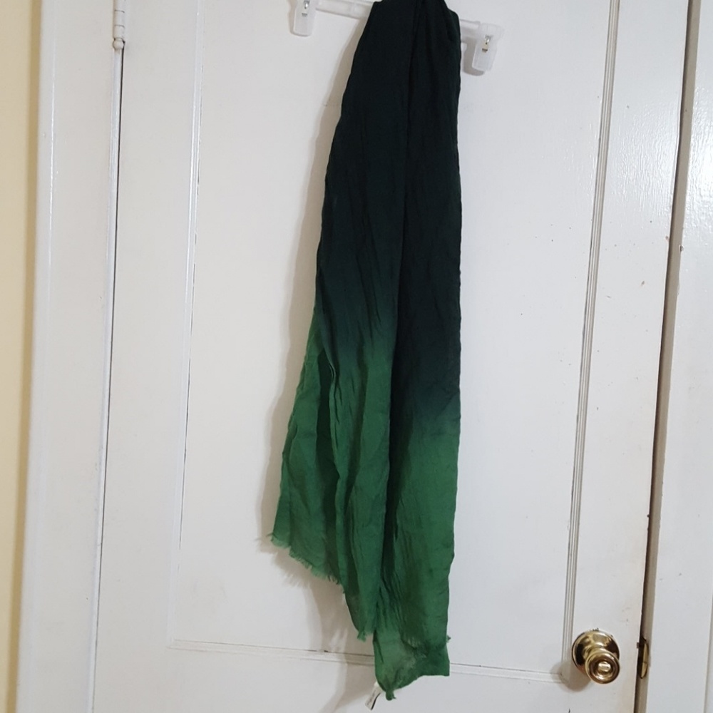 Ann Taylor Loft Ombre Green Scarf